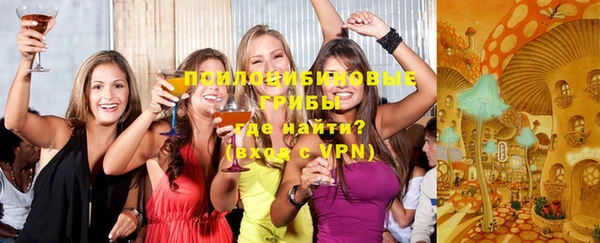 СК Алексеевка