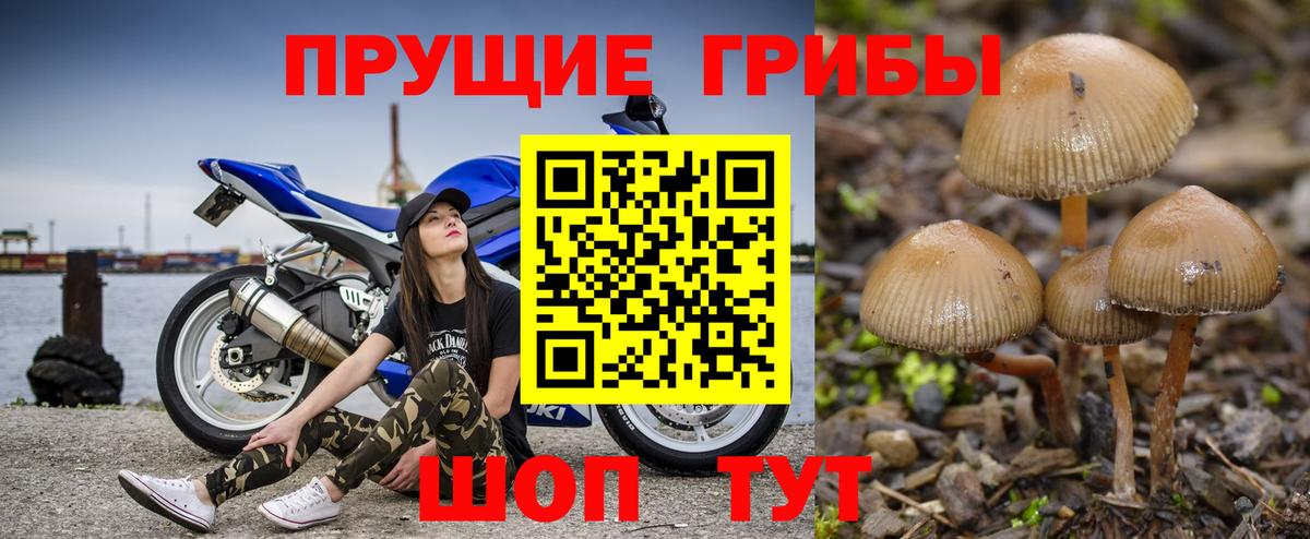 Джанкой  Псилоцибиновые грибы мицелий  Вход с VPN 